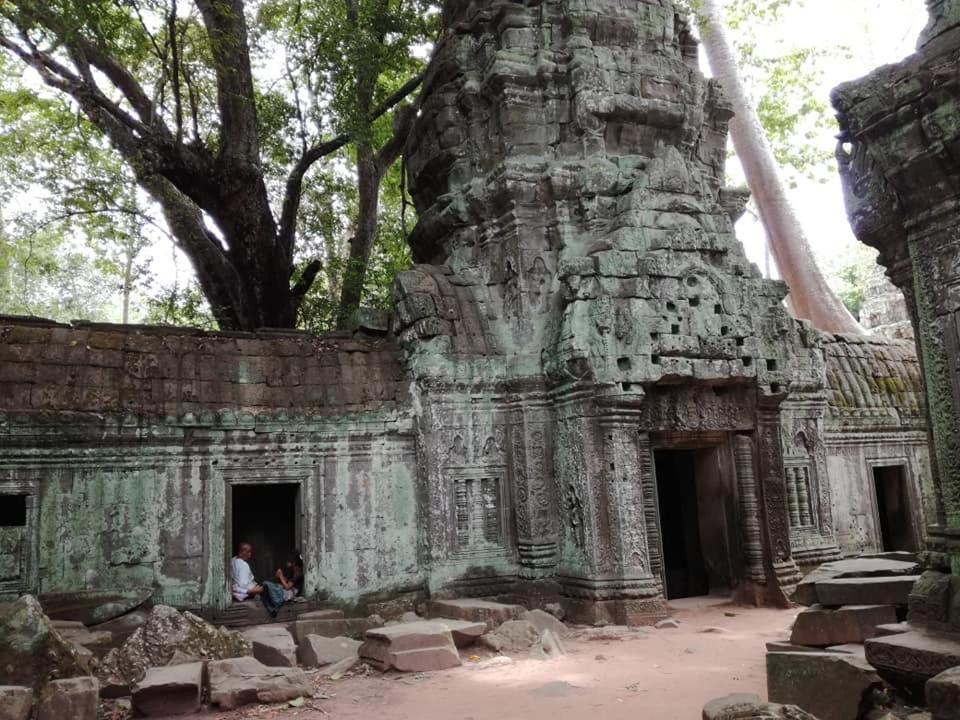 Angkor Magic Tree Boutique Hotell Siem Reap Exteriör bild