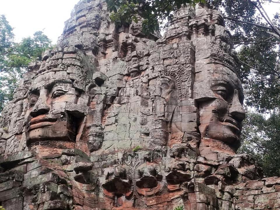 Angkor Magic Tree Boutique Hotell Siem Reap Exteriör bild